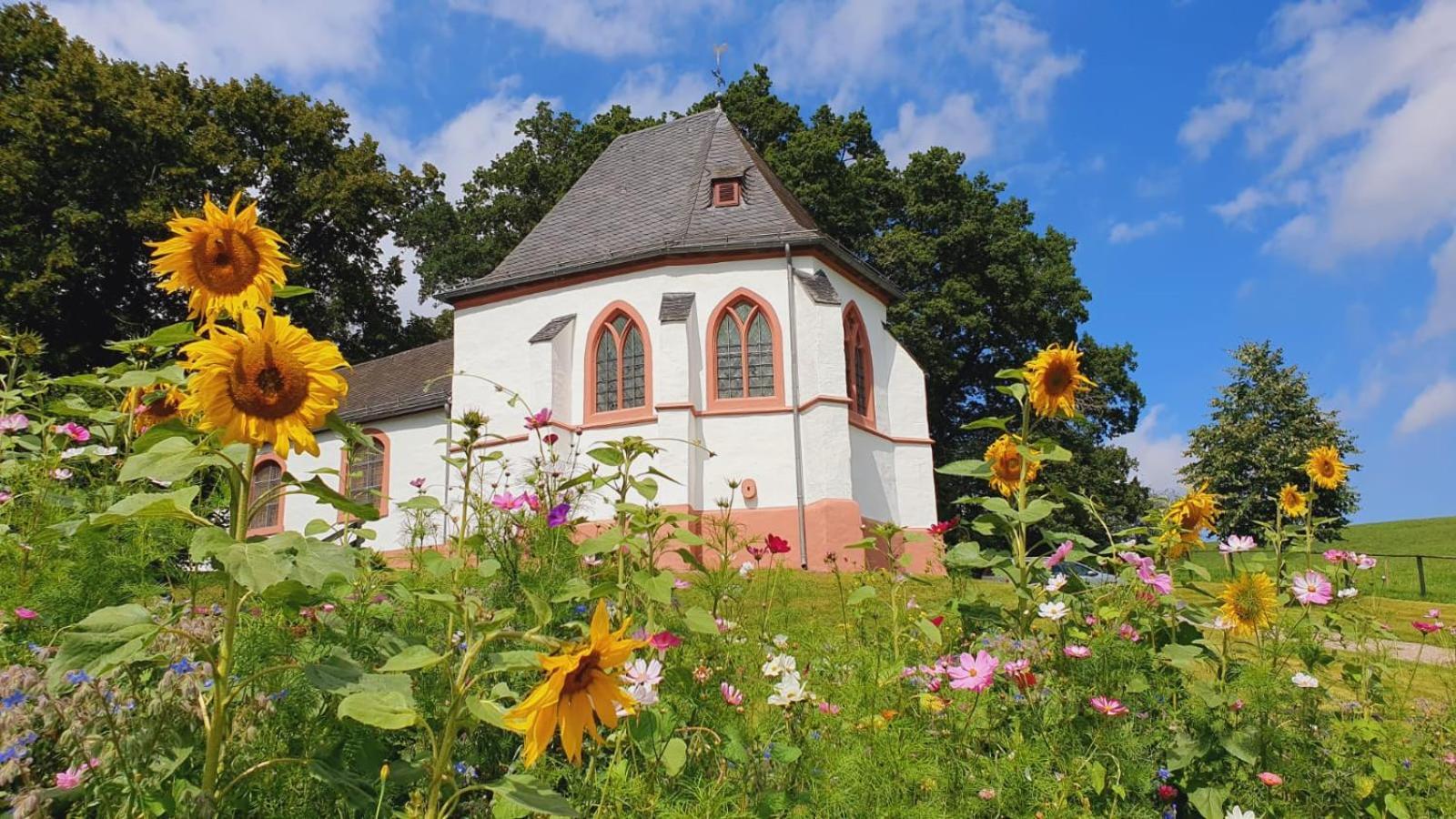 Ferienhaus Deine Zeit Mit Sauna Und Wallbox Nettersheim Bagian luar foto